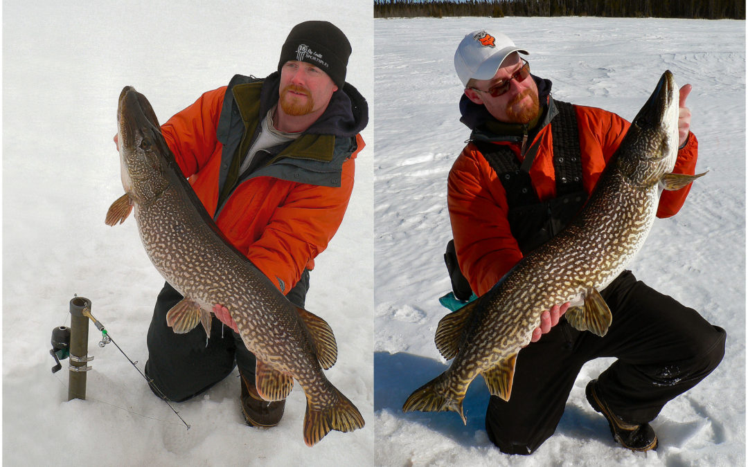 ICING KESAGAMI’S BEST.