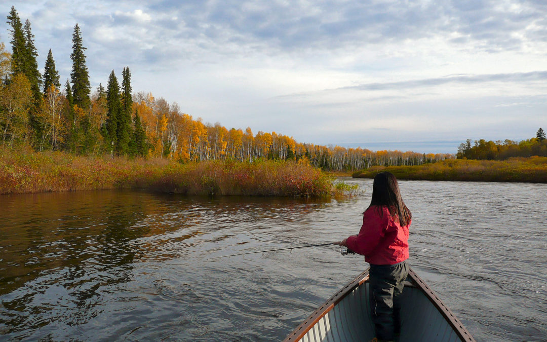 AUTUMN CHEEPAS GOLD & BRONZE.