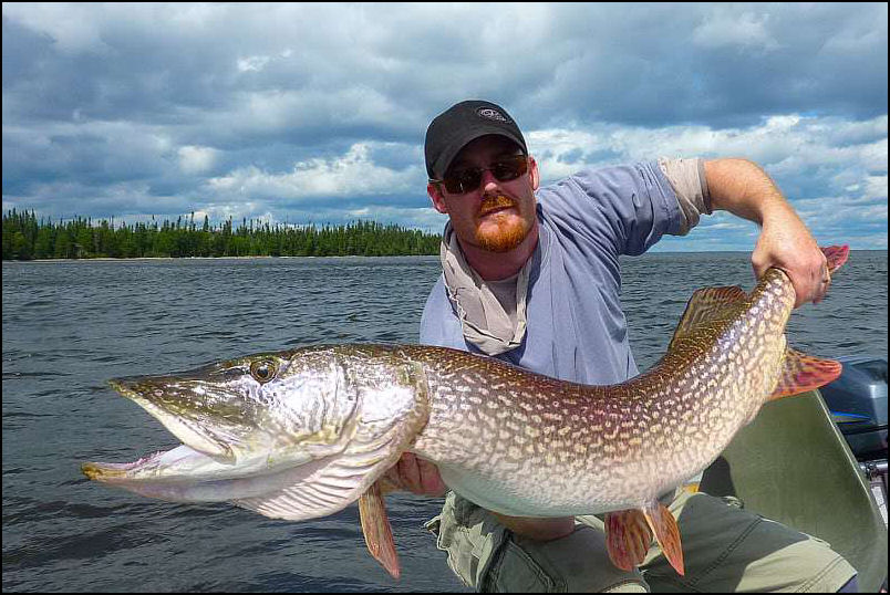 BACKDOOR HIJACK ON KESAGAMI’S PIKE.