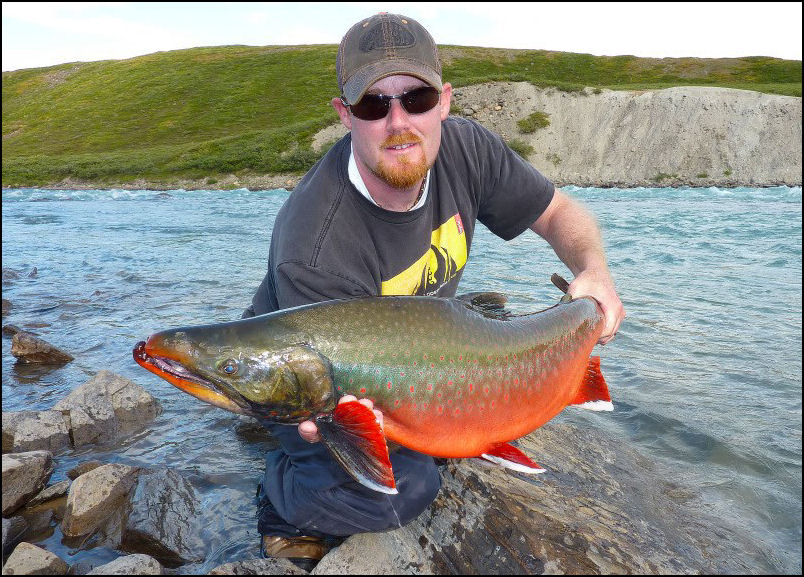 2011 YEAR END TOP TEN!