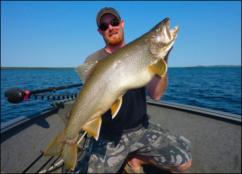 GONE-NIP-TRIP-N-GONE!