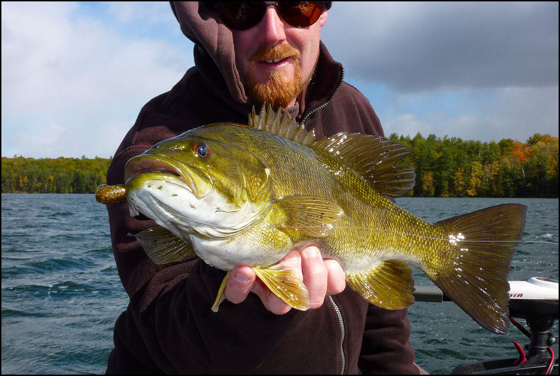 REDS, ORANGES, YELLOWS AND BRONZE.