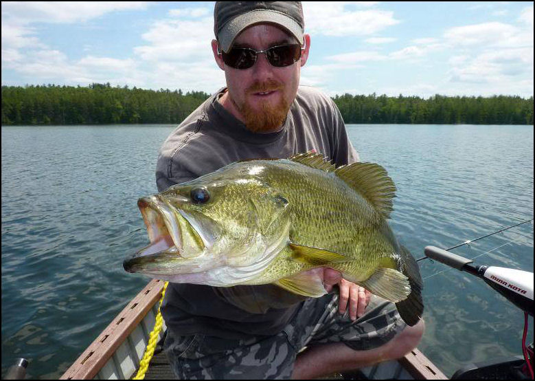 SPRING WOES & WHOAS!