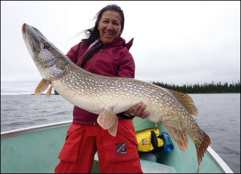 KESAGAMI REFLECTIONS.