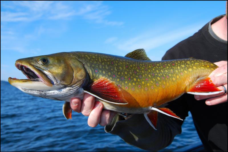 2013 CLOSED TO FISHING.