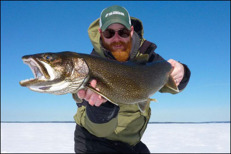 WINTER’S HOME GREYS.