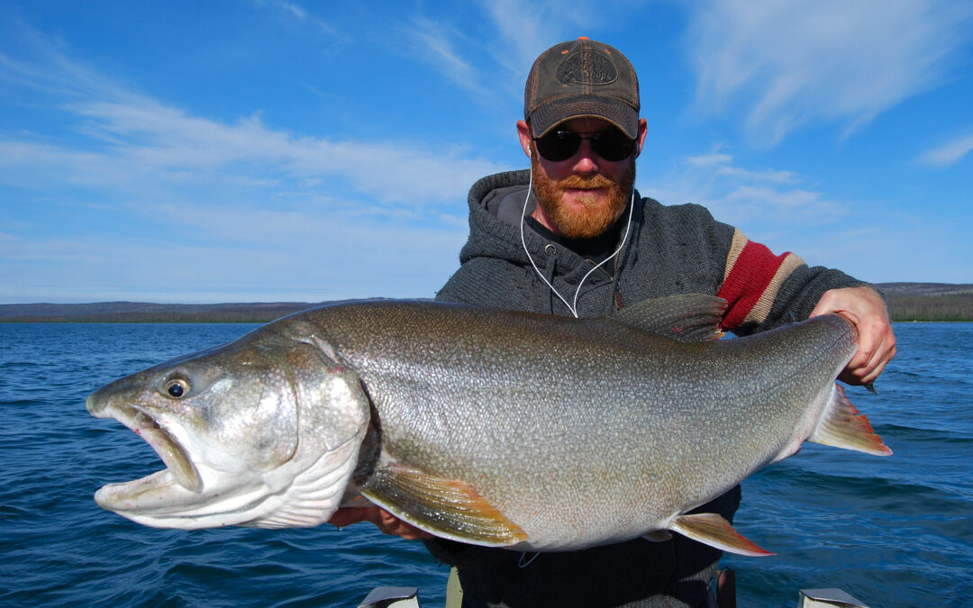 A FRESH FALL FINISH ON A BIG YEAR ENDER.