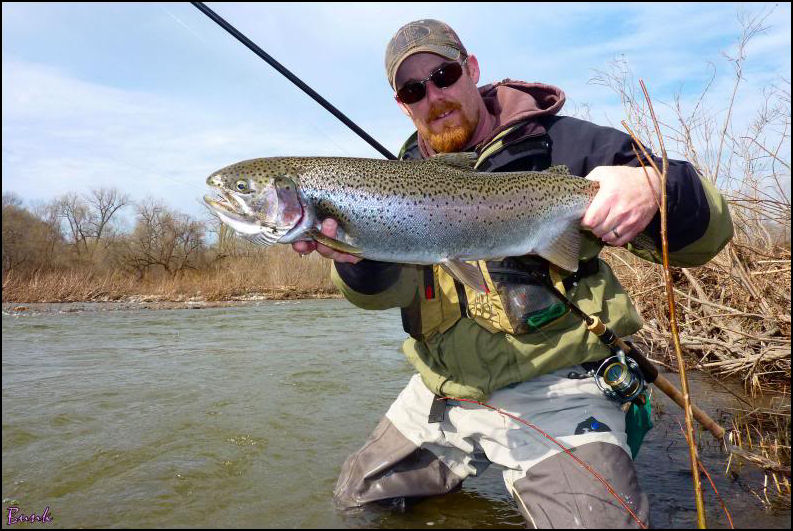 SOME MOOSE BACK INTO THINGS…