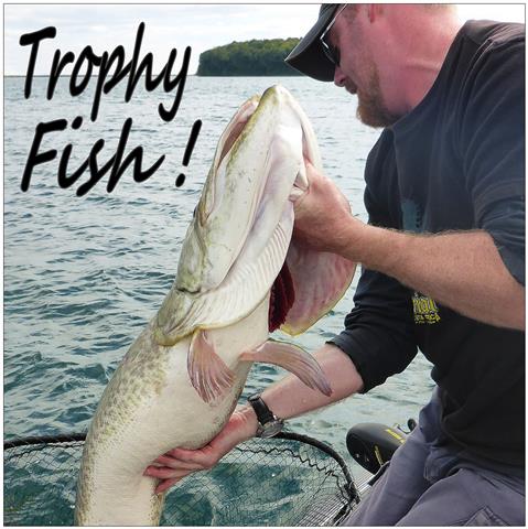 image2trophyfish-small