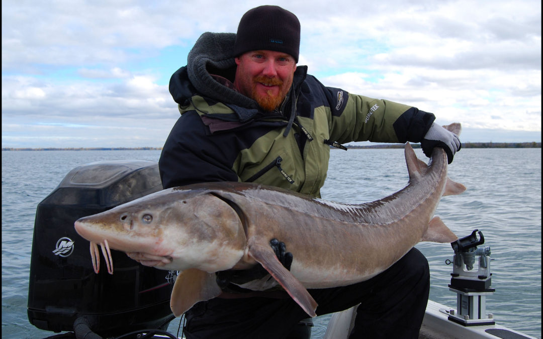 THE AUTUMN ARMS ASSAULT.