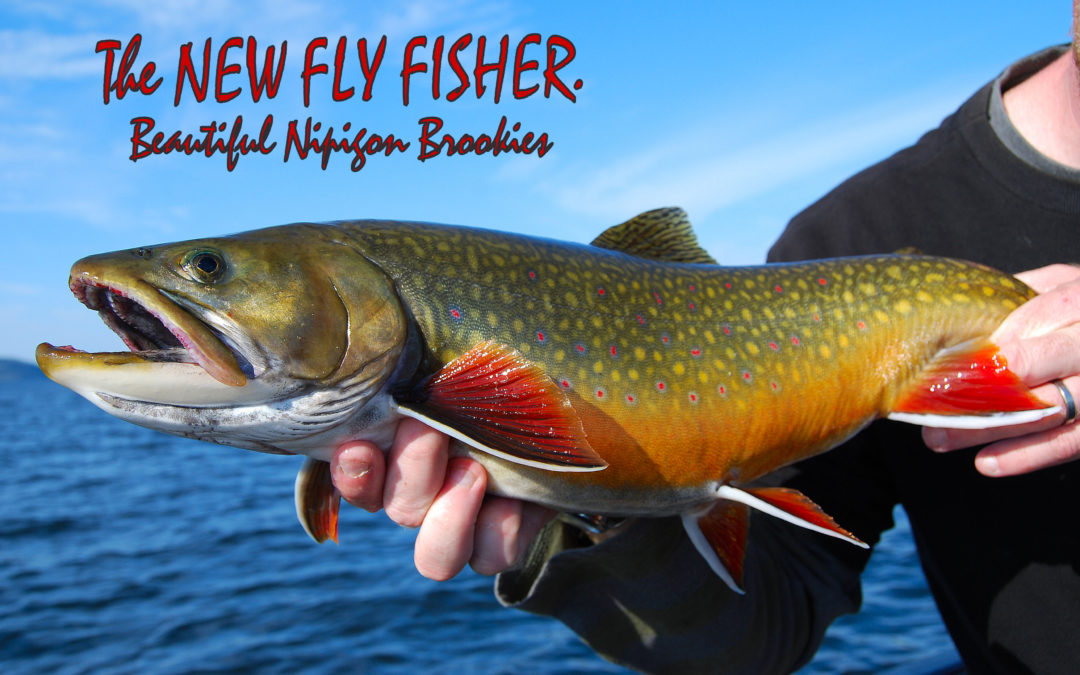 THE NEW FLY FISHER T.V. “Beauty Nipigon Brookies.” ep2