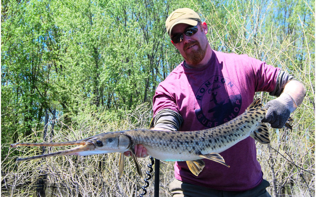 CHASING A WILD LIFE.