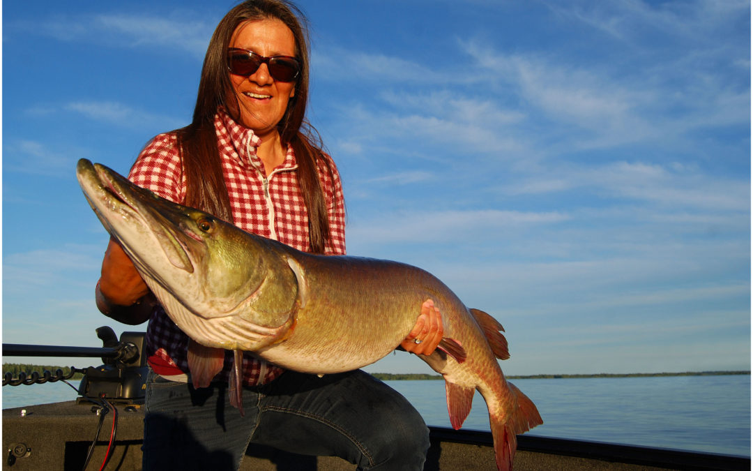 HOME SIZZLIN’ GAR, GREYS & SKIS.