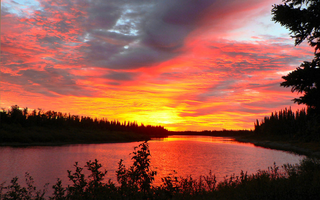 EKWAN RIVER PIKE REVEALED.