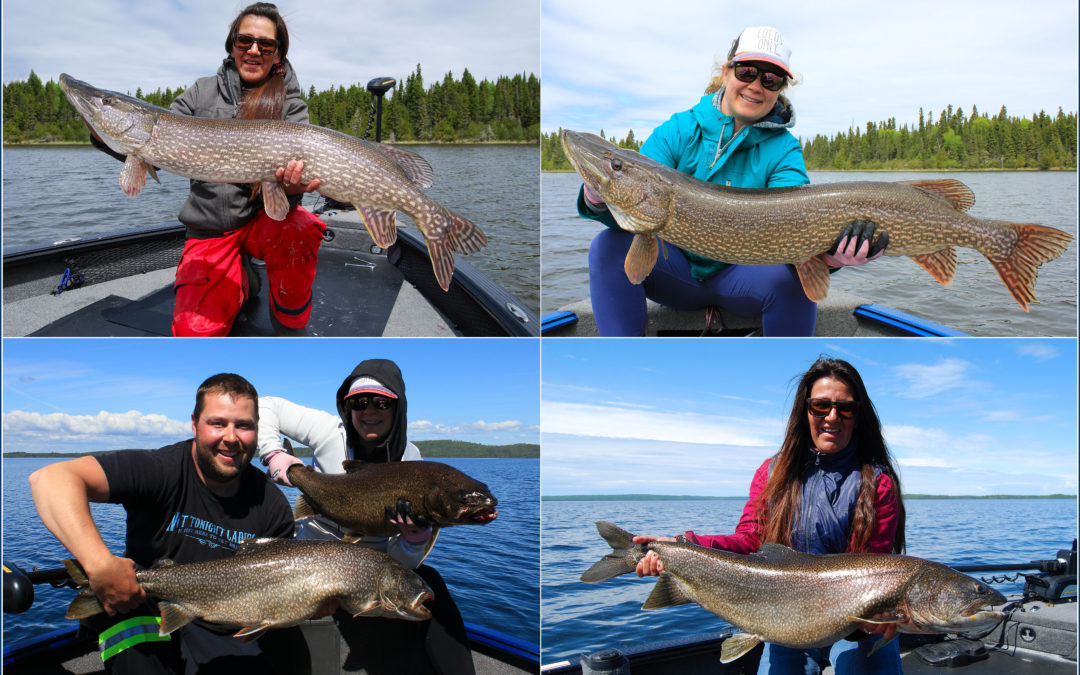 OUR “NIPI” GIRLS “GONE” WILD!