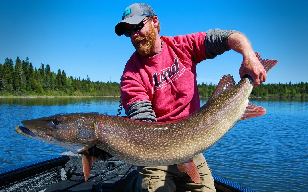 NIPIGON WARNING IN EFFECT!