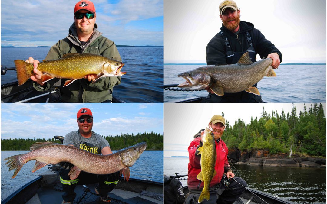 A SOLO ROADY NORTH IV.  “Every Which Direction.”