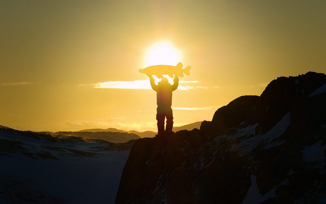 THE FISHING 20/20 ON 2020.