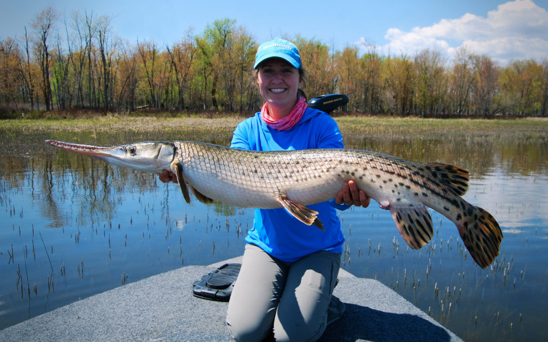 WEIGHING HEAVY ON SPRING FISH.