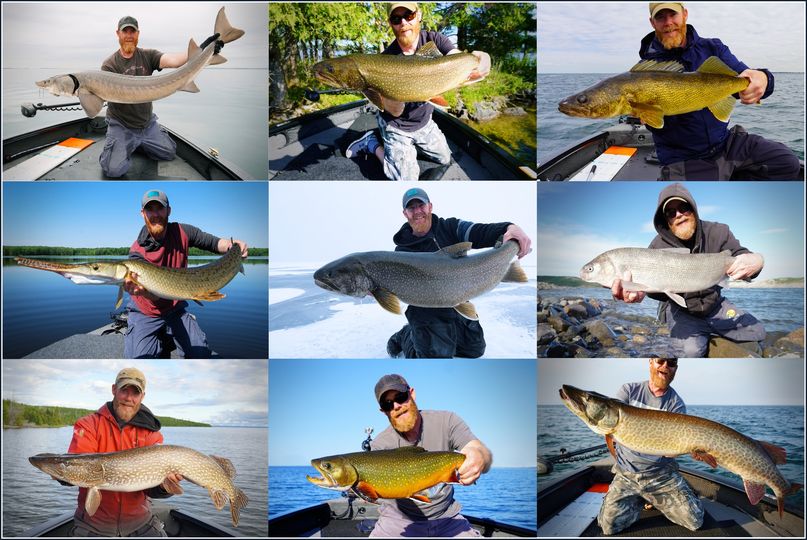 BIG FISH, BIGGER WONDERS.