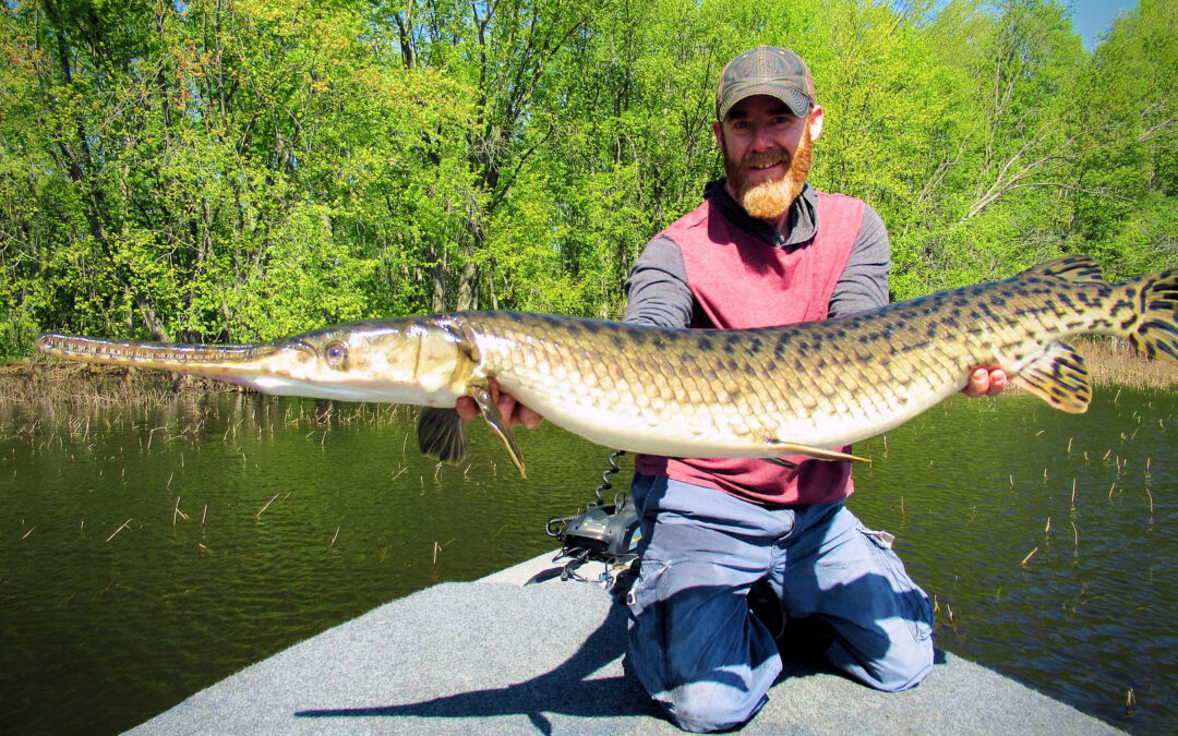 OTTAWA RIVER GAR. FOR THE RECORD.