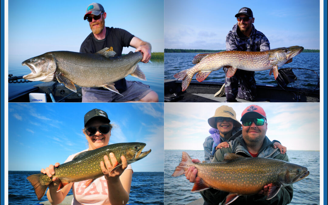 FISHING SPOILED RUINED ROTTEN.