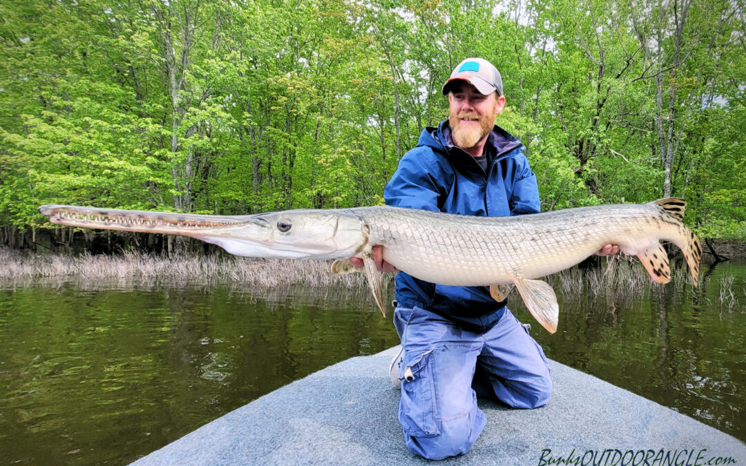 OTTAWA’S LONGNOSE GAR BiZARRE.