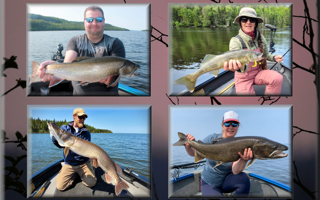 OUR NORTHERN FIRES STILL BURN.