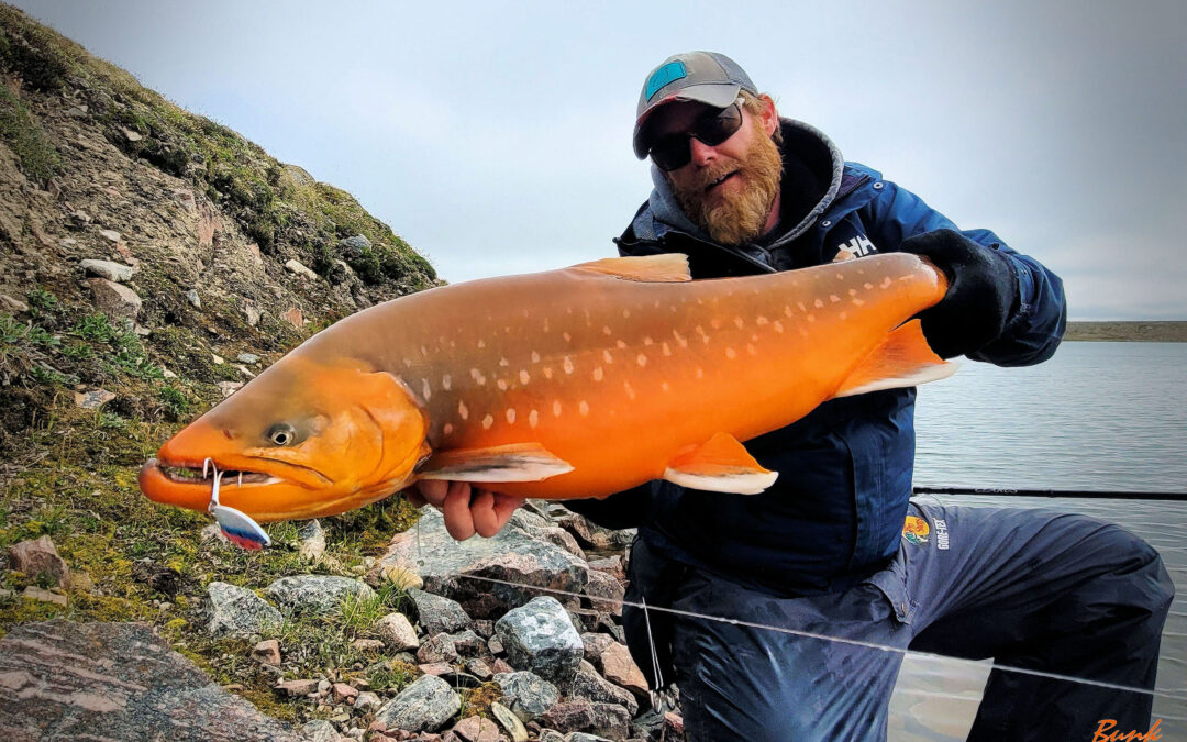 A NUNAVUT NOMAD IX. BOOTHIA’S BEAUTY CHAR!