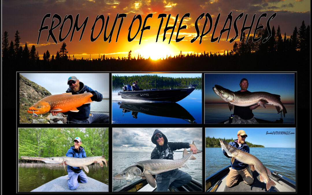 FROM OUT OF THE SPLASHES.