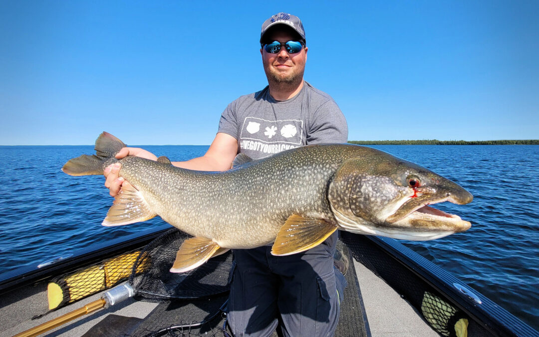 LAKER LURE CONFUSION???