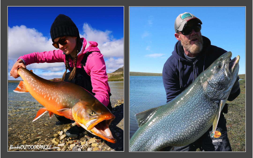 A NUNAVUT NOMAD XI. “ANY CHANCE FOR CHAR!”